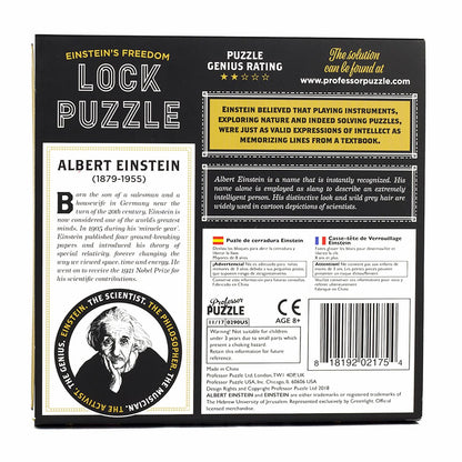 Einsteins Lock 3D Brain Teaser Puzzle